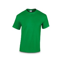 100% cotton t-shirt (170 g/m²)