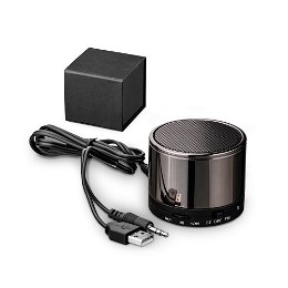 Portable speaker with microphone