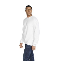 Midweight Softstyle crew neck sweatshirt