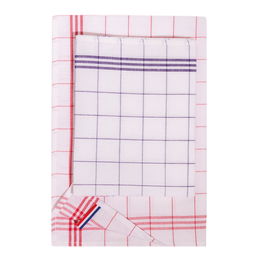 Checked glass towel - 