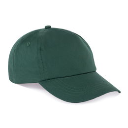 5 panels cap