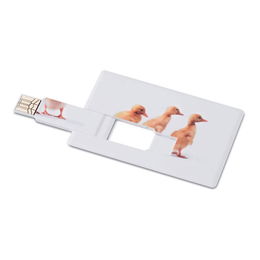 USB flash     4GB  MO1059-06